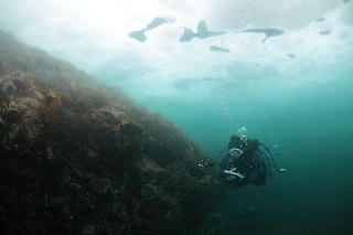 「無題」のサムネイル画像