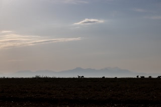 「無題」のサムネイル画像