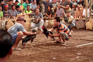 「無題」のサムネイル画像