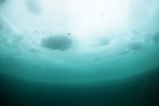 「無題」のサムネイル画像