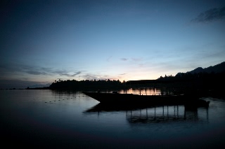 「無題」のサムネイル画像