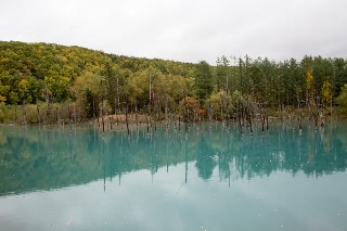 「無題」のサムネイル画像