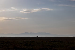 「無題」のサムネイル画像