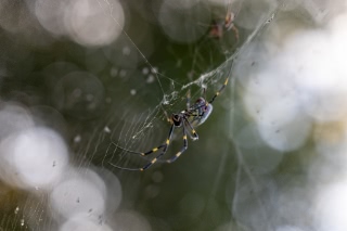 「無題」のサムネイル画像