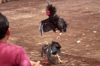 「無題」のサムネイル画像