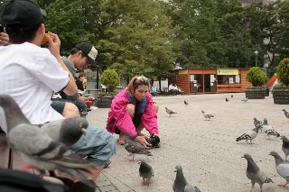 「微妙に真剣勝負」のサムネイル画像