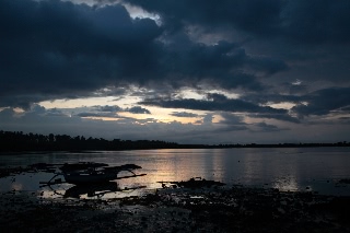 「無題」のサムネイル画像