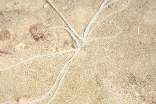 「無題」のサムネイル画像