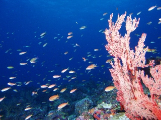 「無題」のサムネイル画像