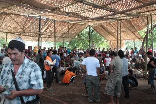 「無題」のサムネイル画像