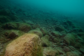 「無題」のサムネイル画像