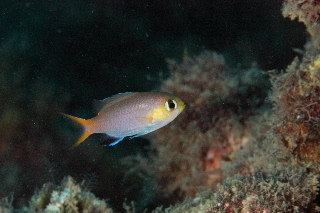 「無題」のサムネイル画像