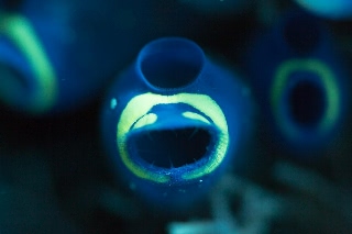 「無題」のサムネイル画像