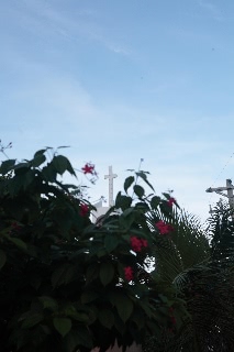 「無題」のサムネイル画像