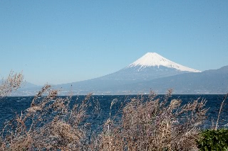 「富士山」のサムネイル画像