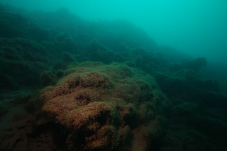 「無題」のサムネイル画像