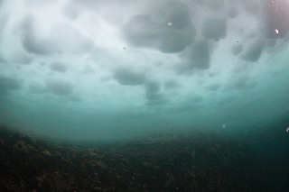 「無題」のサムネイル画像