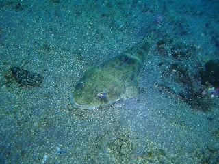 「無題」のサムネイル画像