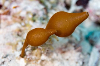 「無題」のサムネイル画像