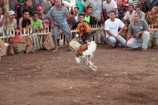 「無題」のサムネイル画像