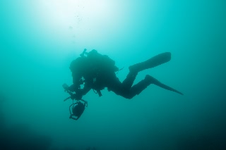 「無題」のサムネイル画像