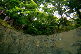 「無題」のサムネイル画像