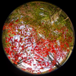 「無題」のサムネイル画像