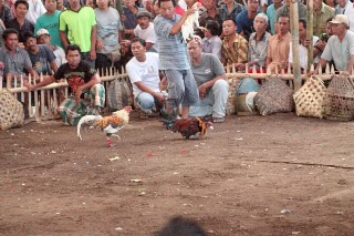 「無題」のサムネイル画像