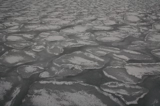 「無題」のサムネイル画像