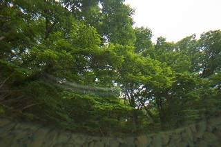 「無題」のサムネイル画像