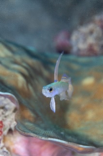 「無題」のサムネイル画像