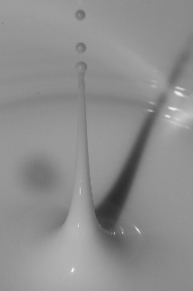 「無題」のサムネイル画像