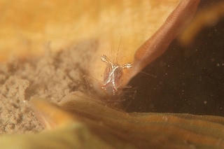 「無題」のサムネイル画像