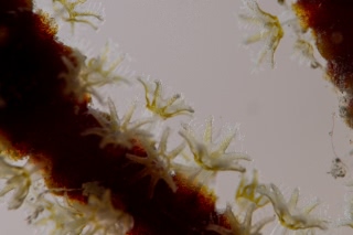 「無題」のサムネイル画像