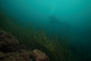 「無題」のサムネイル画像