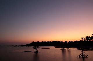 「無題」のサムネイル画像