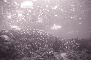 「無題」のサムネイル画像