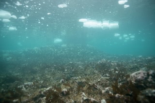 「無題」のサムネイル画像