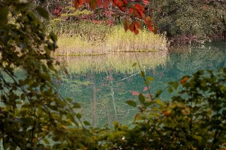 「弁天沼」のサムネイル画像