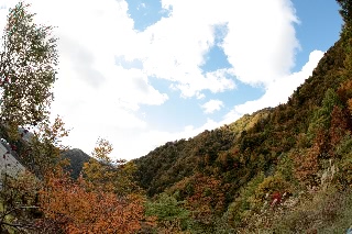 「無題」のサムネイル画像