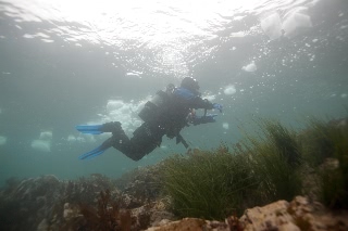 「無題」のサムネイル画像