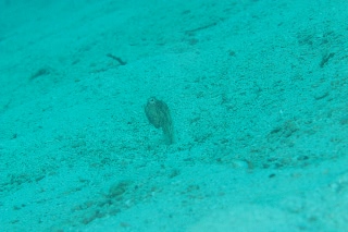 「無題」のサムネイル画像