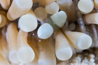 「無題」のサムネイル画像