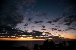 「無題」のサムネイル画像