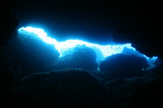 「無題」のサムネイル画像