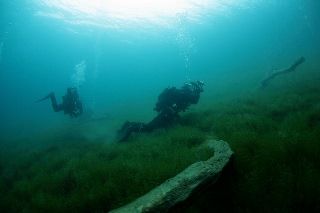 「無題」のサムネイル画像