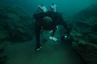 「無題」のサムネイル画像