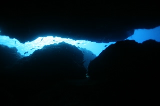 「無題」のサムネイル画像