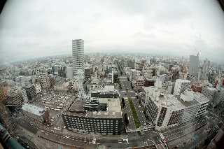 「展望台から東を眺める」のサムネイル画像