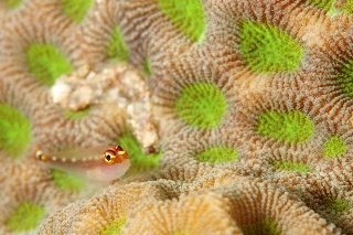 「無題」のサムネイル画像